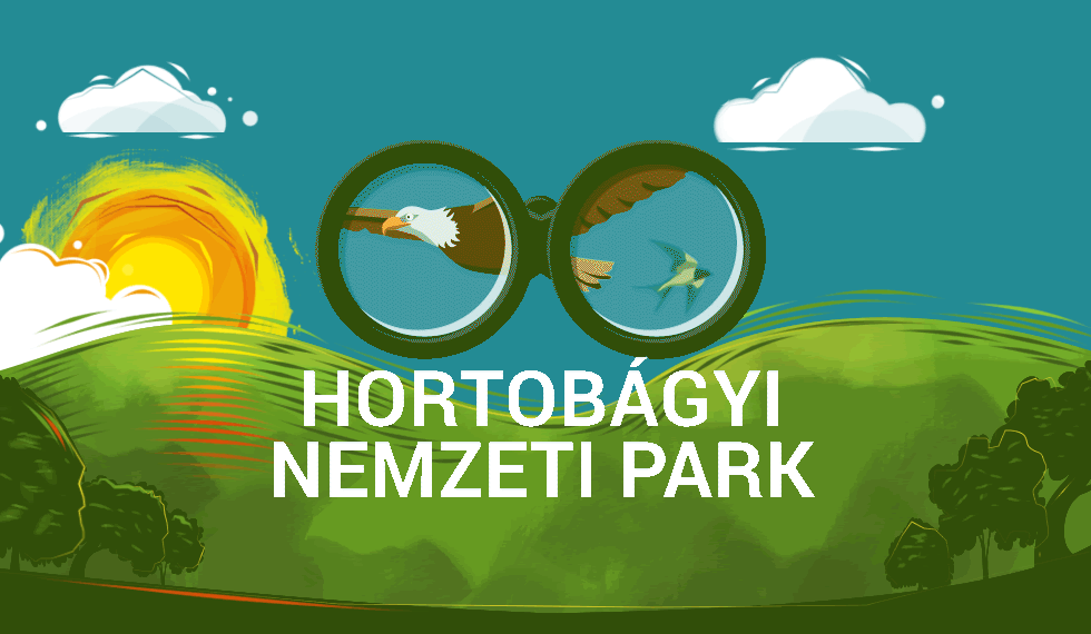 Segíts a Hortobágyi Nemzeti Park madarászának! A távcsövön keresztül figyeld meg a madarak helyzetét, repülésük irányát és jelöld, hogy milyen madarat látsz!
